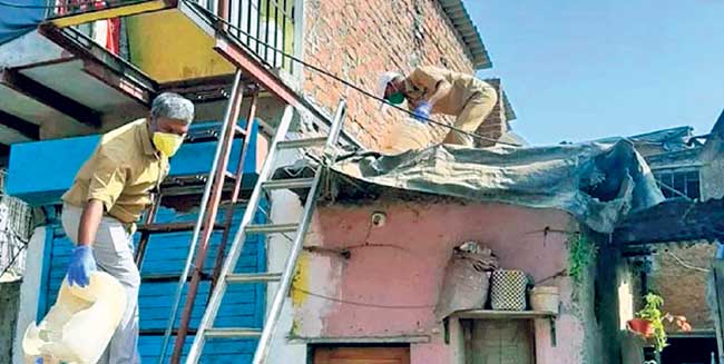 वर्षभरात मलेरियाच्या १० हजार डासांची उत्पत्तीस्थाने नष्ट
