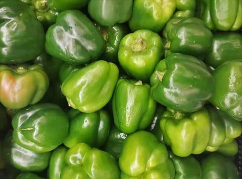 शिमला मिर्चीचा भाव १ रुपया, शेतकऱ्यांनी ट्रक भरुन माल रस्त्यावर फेकला