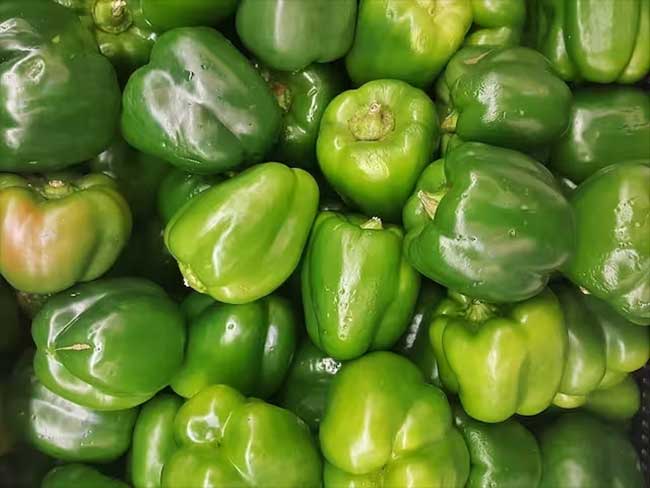 शिमला मिर्चीचा भाव १ रुपया, शेतकऱ्यांनी ट्रक भरुन माल रस्त्यावर फेकला