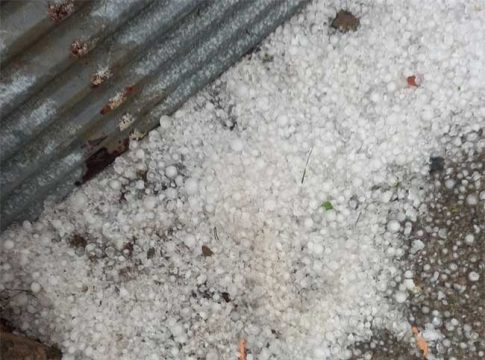 विदर्भात पुन्हा अवकाळी पाऊस, गारपिटीमुळे शेती व फळबागांचे मोठ्या प्रमाणात नुकसान, शेतकरी हवालदिल!