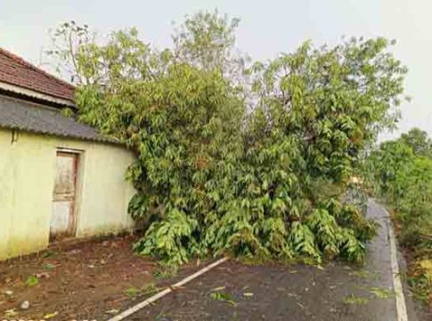 मुरबाडमध्ये चौथ्यांदा अवकाळी पावसाचा दणका!