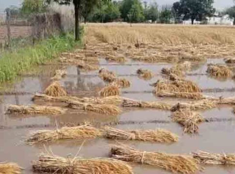 अवकाळीमुळे बळीराजाच्या चेहऱ्यावर अवकळा