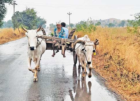 सतर्क पांडू