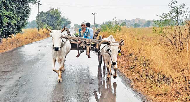 सतर्क पांडू