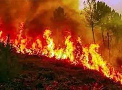 अलिबाबा मालिकेचा सेट जळून खाक