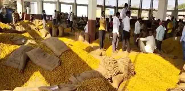 हळदीला योग्य भाव मिळत नसल्याने शेतकरी आक्रमक