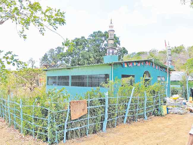 ठाण्यातील ‘लँड जिहाद’विरुद्ध वनविभागाने केला गुन्हा दाखल