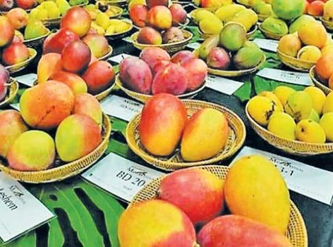 उत्सव आंबा खरेदी आणि स्वादाचा
