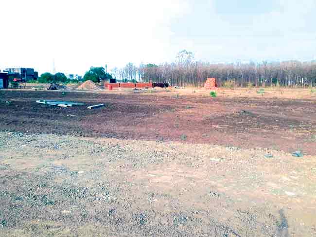 सेझबाधित शेतकऱ्यांच्या सुपीक जमिनी परत मिळण्याची शक्यता