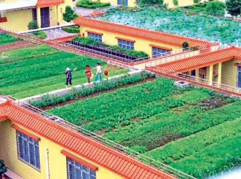 पालिका शाळांतील विद्यार्थी करणार भाजीपाल्याची शेती