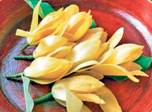 स्नेहरूपी चाफा