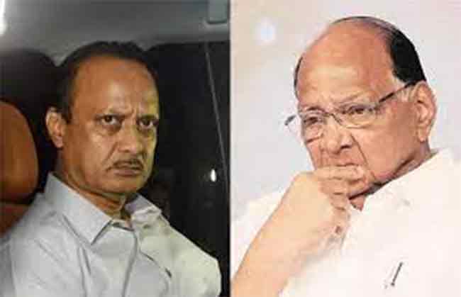Sharad Pawar Vs Ajit Pawar : शरद पवारांच्या पक्षात लोकशाहीचा मोठा अभाव; घर चालवल्याप्रमाणे पक्ष चालवत होते