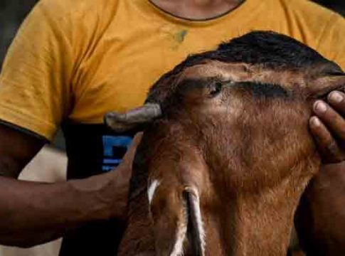 Bakri Eid: बकरी ईदच्या कुर्बानीवरुन उच्चभ्रु सोसायटीत वाद