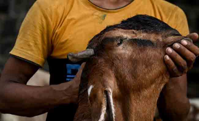 Bakri Eid: बकरी ईदच्या कुर्बानीवरुन उच्चभ्रु सोसायटीत वाद