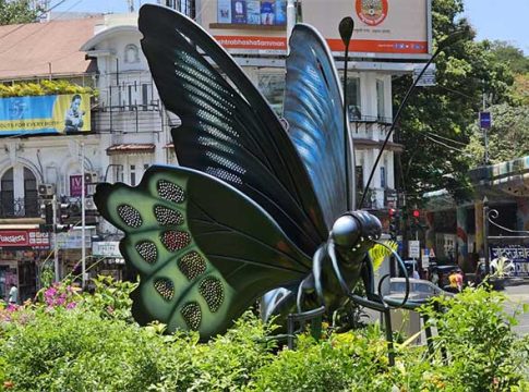 फुलपाखरु छान किती दिसते!