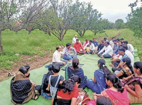 Farmer producer organizations : शेतकरी उत्पादक संस्थांना बळकटी देण्याचा प्रयत्न