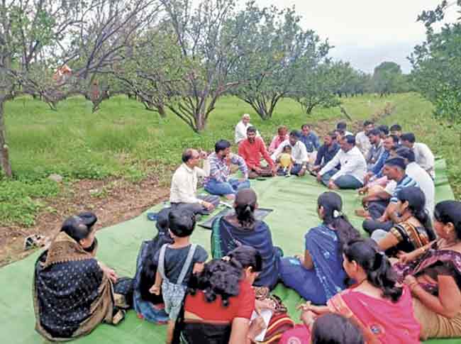 Farmer producer organizations : शेतकरी उत्पादक संस्थांना बळकटी देण्याचा प्रयत्न