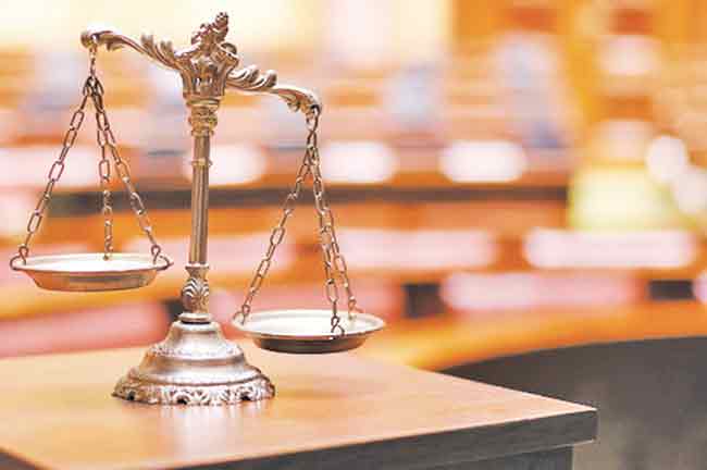 Economic Advice  :  दंड आणि खटले