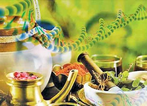 आयुर्वेद आणि वृद्धत्वाचे विज्ञान भाग २