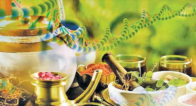 आयुर्वेद आणि वृद्धत्वाचे विज्ञान भाग २