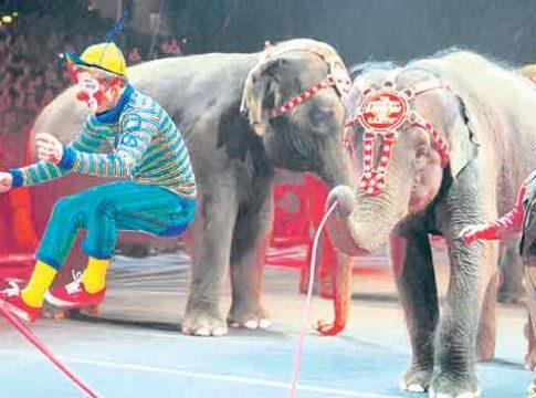 'सर्कस' कविता आणि काव्यकोडी