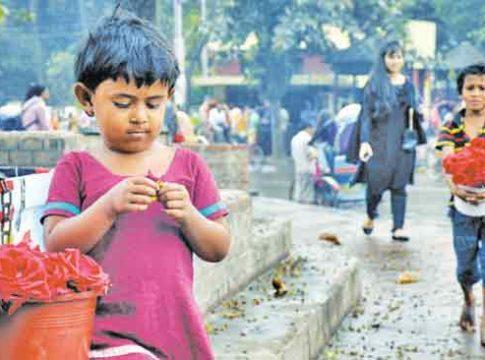 ओ शुक शुक...