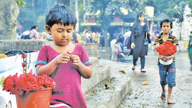 ओ शुक शुक…