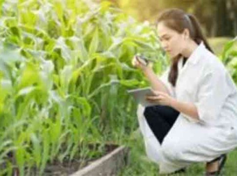 Agricultural courses : कृषी अभ्यासक्रमांना प्रवेश घेणार्‍या विद्यार्थ्यांना मोठा दिलासा!