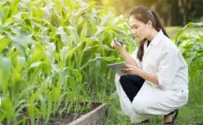 Agricultural courses : कृषी अभ्यासक्रमांना प्रवेश घेणार्‍या विद्यार्थ्यांना मोठा दिलासा!