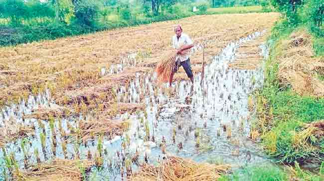 Rain Victims : पावसाचा फटका, ठेवीपरतीचा ‘सहारा’