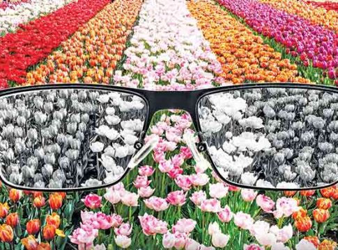 Colours : मना मोहवितो रंग...