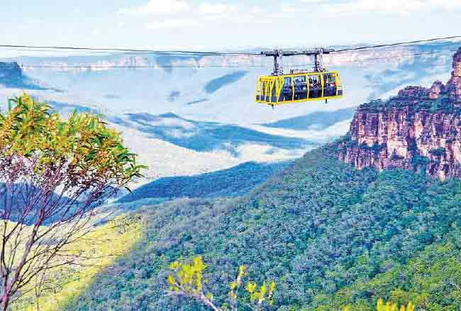 Blue Mountain in Sydney : सिडनी : ‘ब्ल्यू माऊंटन’!