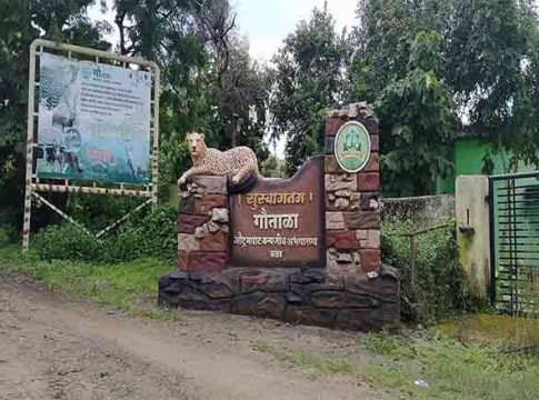 Gautala Sanctuary : गौताळा अभयारण्यात पर्यटकांना बंदी... काय आहे याचं कारण?