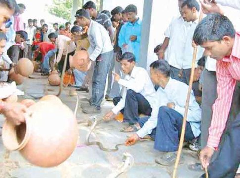 Nagpanchami : जगप्रसिद्ध ३२ शिराळा नागपंचमी