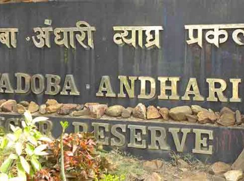 Tadoba Andhari wildlife sanctuary : ताडोबाच्या नावलौकिकाला गालबोट! तब्बल १२ कोटी १५ लाख रुपयांची फसवणूक