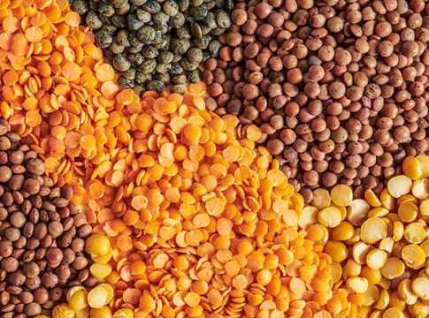 Inflation : सर्वसामान्यांना महागाईतून दिलासा मिळणार; डाळीचे भाव कमी होणार!