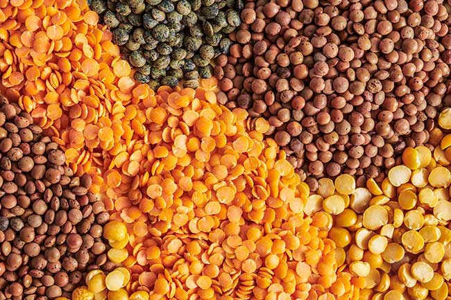 lentils dal