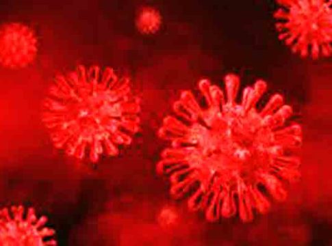 Disease X : कोरोनानंतर आता आणखी एका महामारीचे संकट!