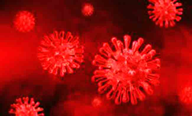 Disease X : कोरोनानंतर आता आणखी एका महामारीचे संकट!