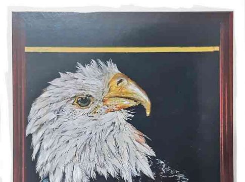 सर्वशक्तिमान टक्कल गरुड