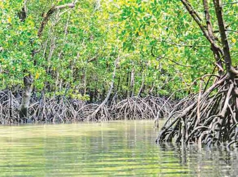 Environment : सांगा कसं जगायचं?