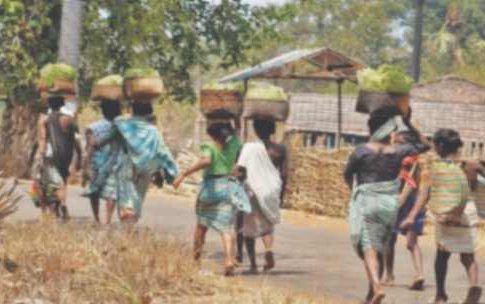 आदिवासी बांधवांचे स्थलांतरण