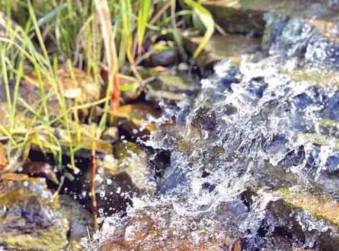 Spring water : झऱ्याचे पाणी...