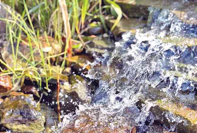 Spring water : झऱ्याचे पाणी…