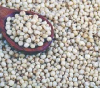 अन्नधान्याच्या नावाने मराठवाड्यात फसवणूक