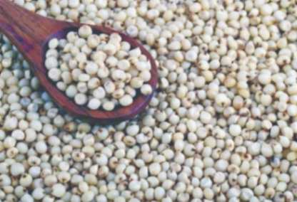 अन्नधान्याच्या नावाने मराठवाड्यात फसवणूक
