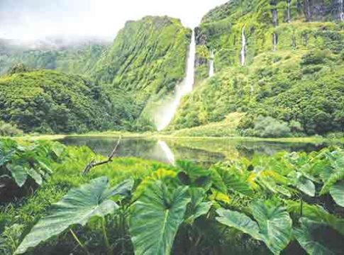 निसर्गायन - कविता आणि काव्यकोडी