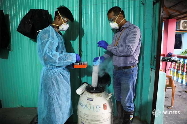 Nipah Virus: कोझिकोडमध्ये शाळा-कॉलेज १७ सप्टेंबरपर्यंत बंद