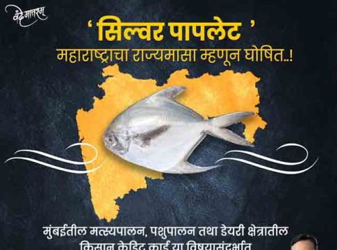 State Fish of Maharashtra : 'पापलेट' महाराष्ट्राचा राज्य मासा म्हणून घोषित