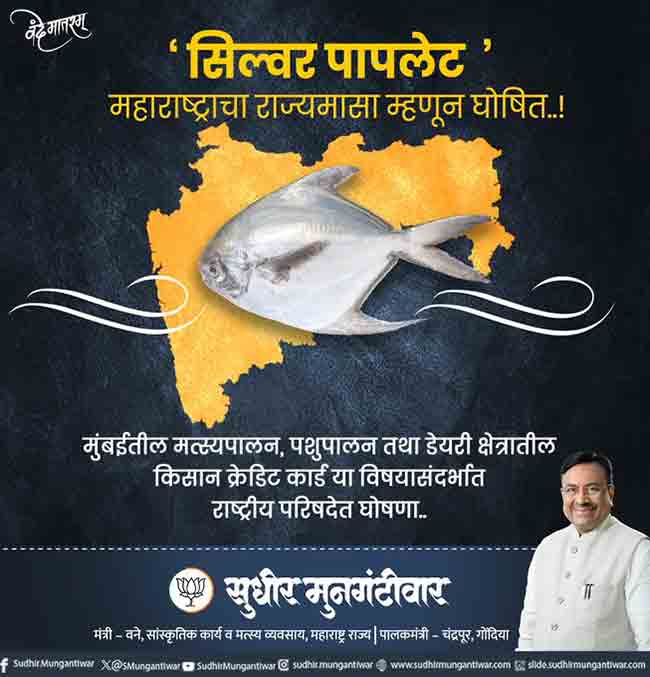 State Fish of Maharashtra : ‘पापलेट’ महाराष्ट्राचा राज्य मासा म्हणून घोषित